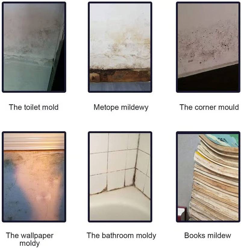 Mildew Cleaner Foam | Buy 1 Get 1 Free & Free Shipping