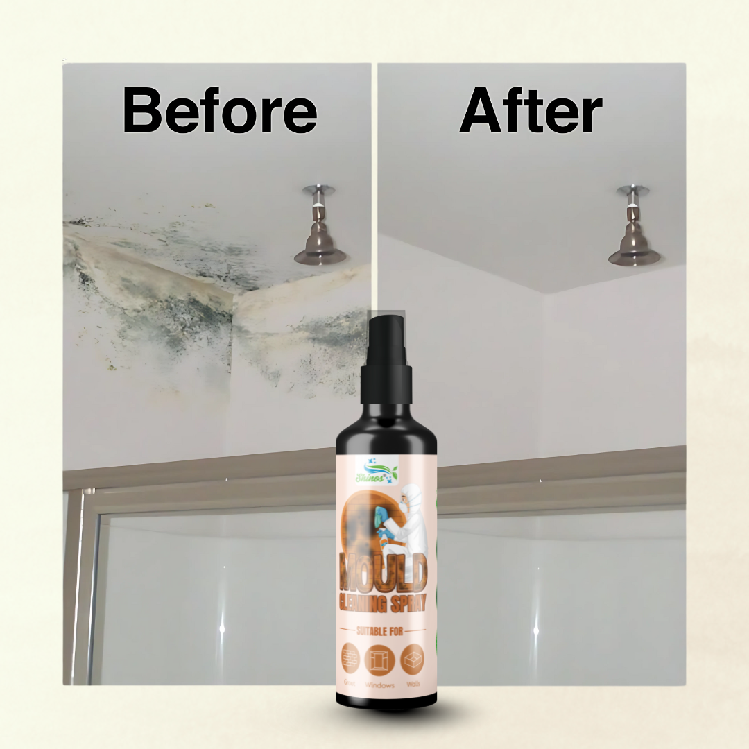 MouldGo – Mould, Algae & Moss Remover Spray
