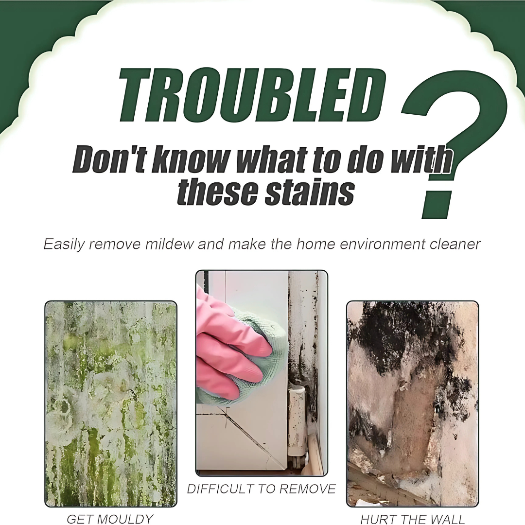 MouldGo – Mould, Algae & Moss Remover Spray