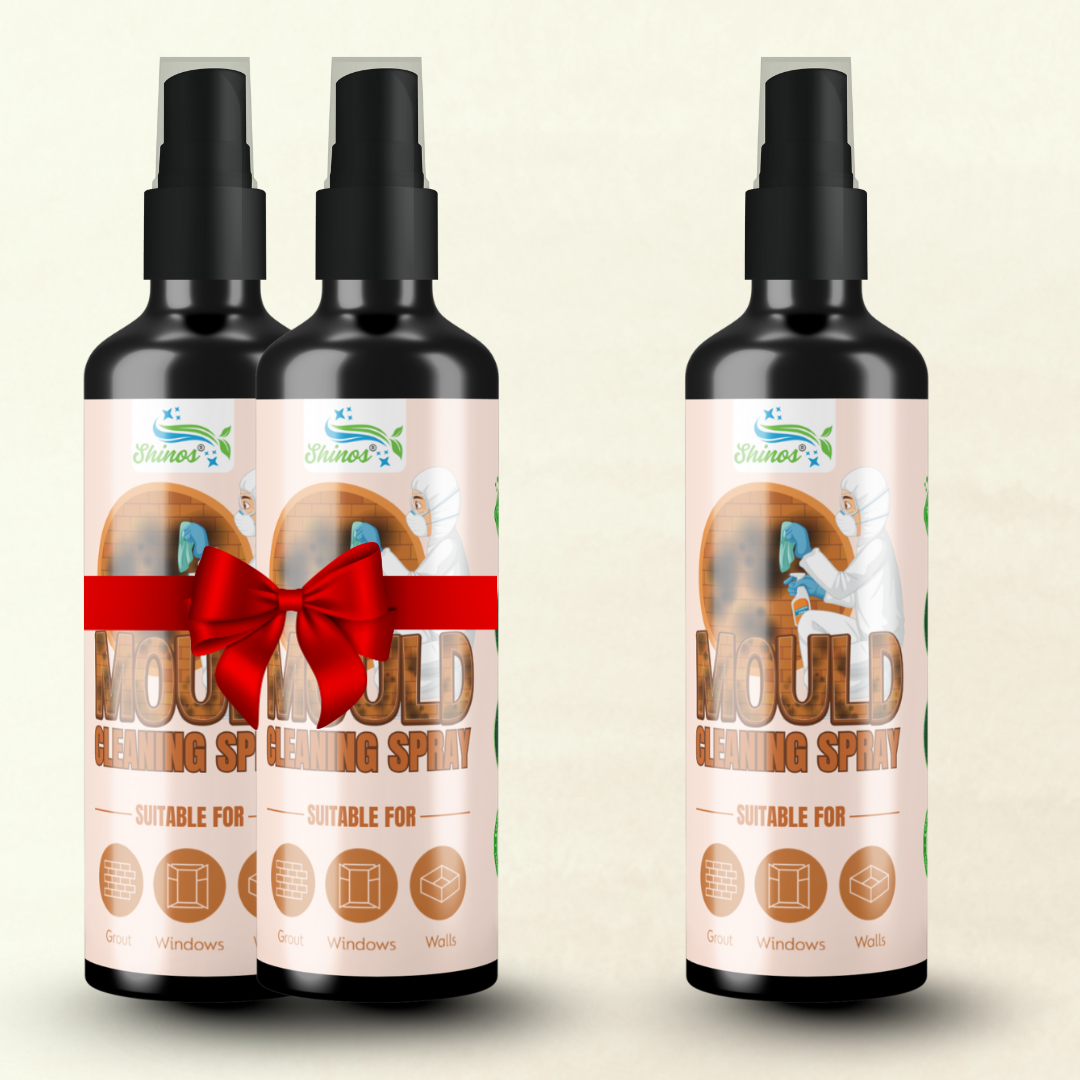 MouldGo – Mould, Algae & Moss Remover Spray
