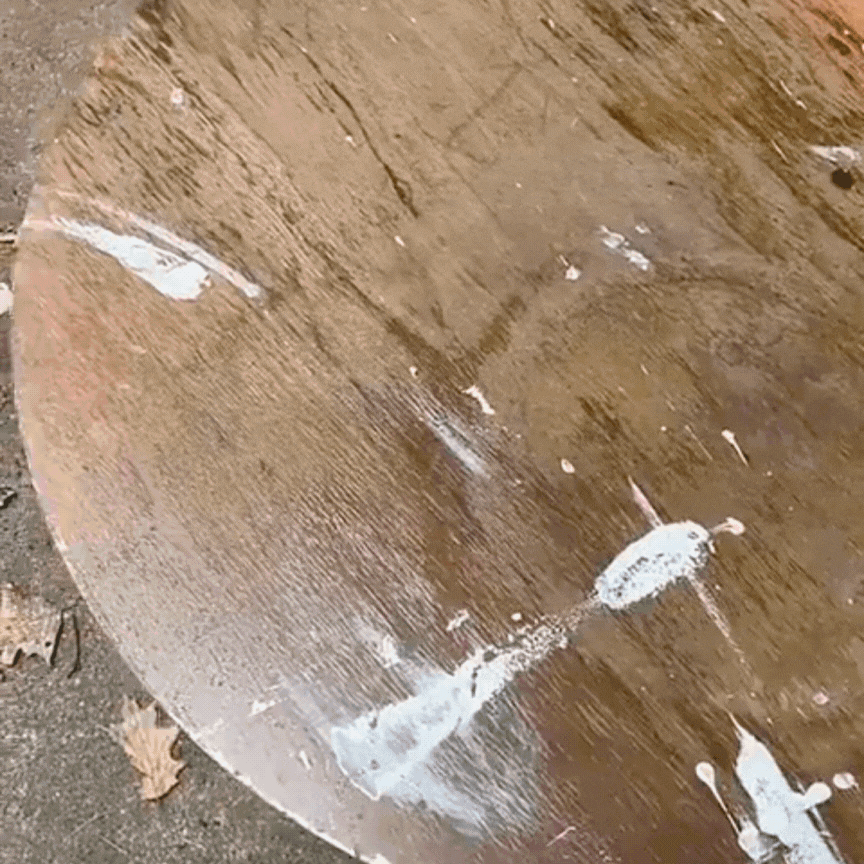 Shinos WoodCare Pro | India's No. 1 Natural Furniture Shine & Protection Shield