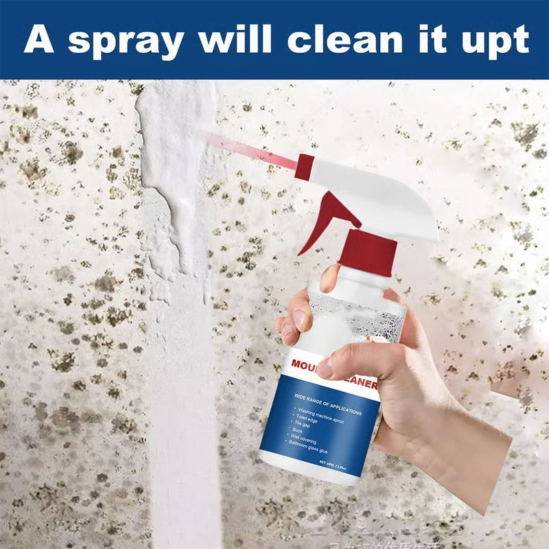 Mildew Cleaner Foam | Buy 1 Get 1 Free & Free Shipping